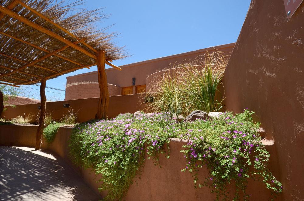 Hotel Pascual Andino San Pedro de Atacama Exterior foto