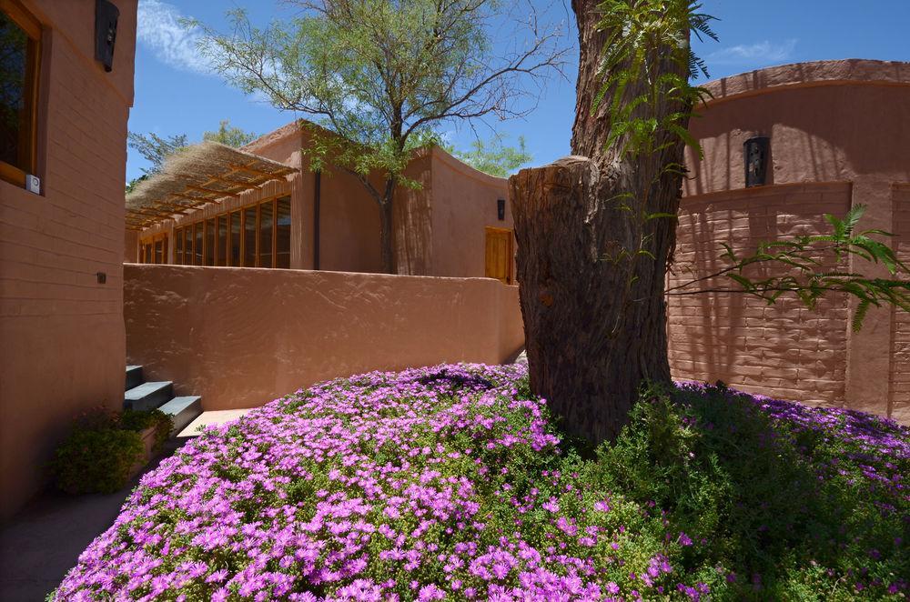 Hotel Pascual Andino San Pedro de Atacama Exterior foto